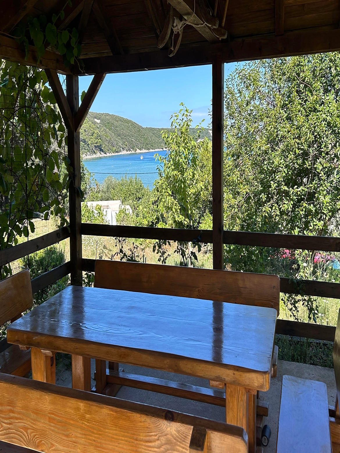 Apartments Vegrin house and garden in Kampor